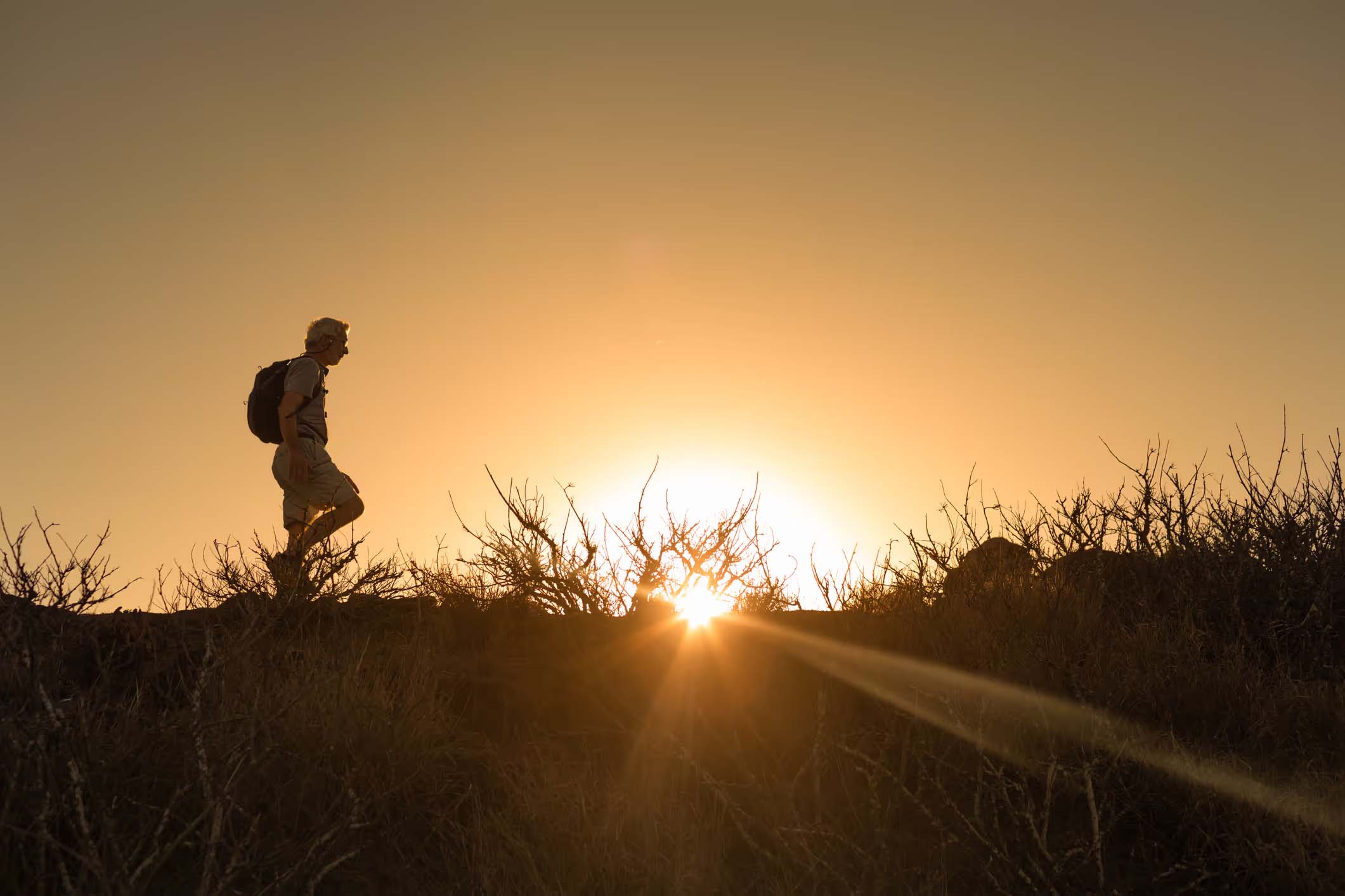 A clear path to optimal health after 50: it starts in your blood